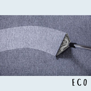 Eco-Friendly Carpet Cleaners & Upholstery Cleaners NZ | Insinc