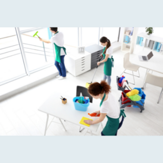All Purpose & Multi-Purpose Cleaners NZ | Insinc