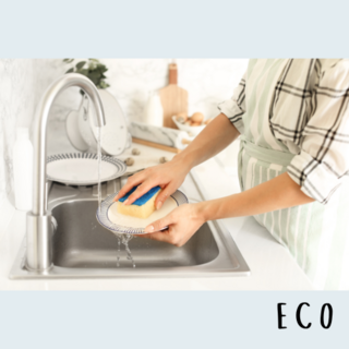 Eco-Friendly Dishwashing Liquid & Detergent NZ | Insinc